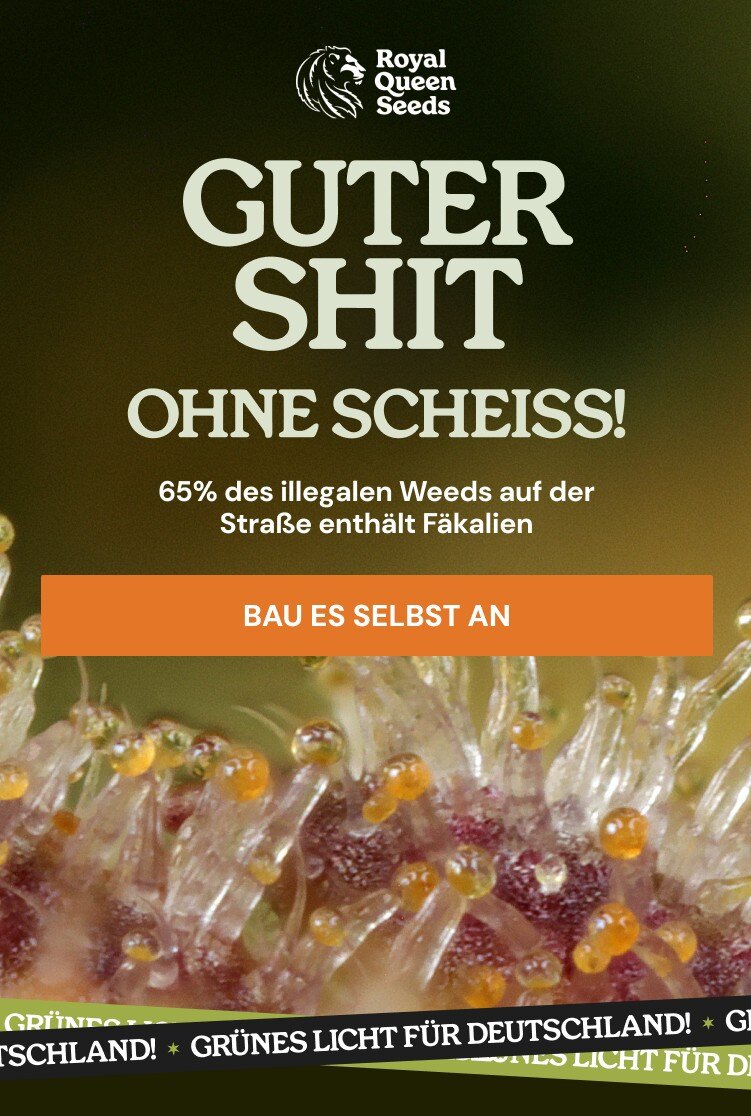 Guter Shit